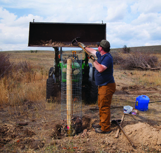 Solid Stonework Building Rock Fence Posts Grit